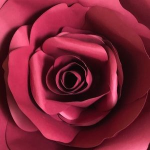 Meet your Posher, Rose